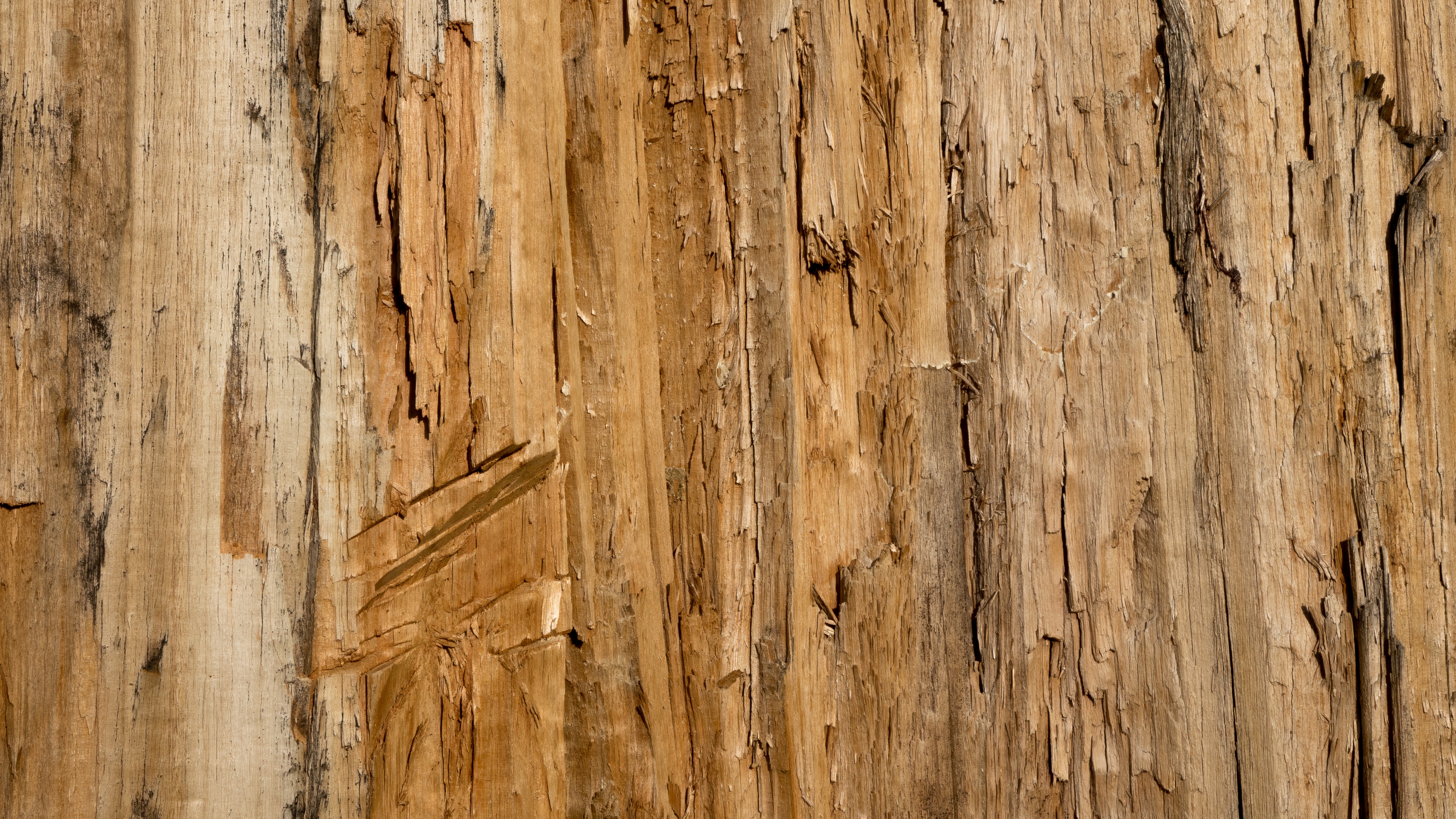 Detail Design Background Kayu Nomer 37