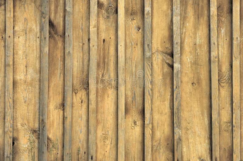 Detail Design Background Kayu Nomer 55