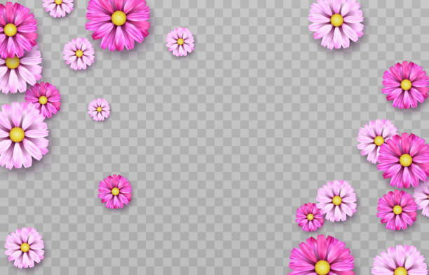 Detail Design Flower Png Nomer 25