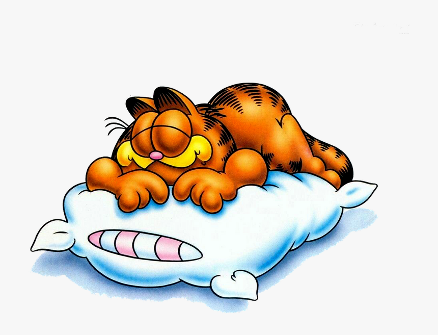 Detail Garfield Sleeping Nomer 2