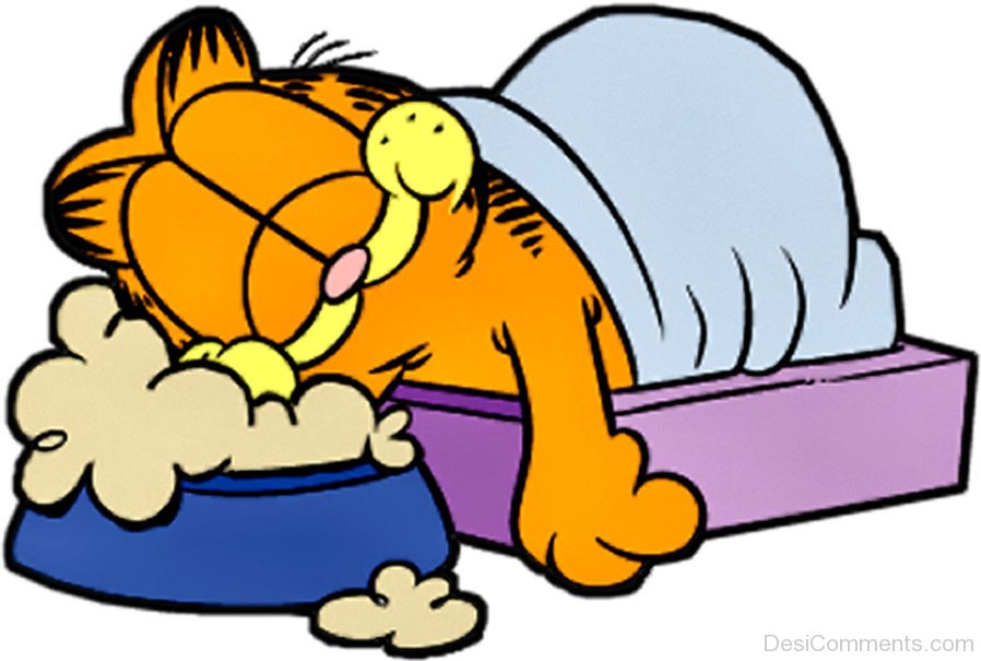 Detail Garfield Sleeping Nomer 4