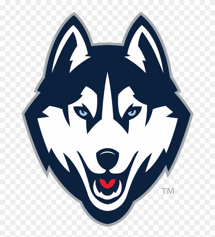 Logo Husky - KibrisPDR