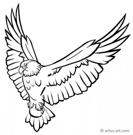 Detail Mandala Adler Nomer 10