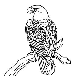 Detail Mandala Adler Nomer 3