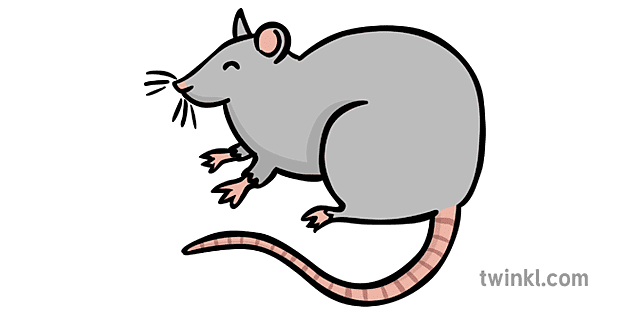 Detail Rat Png Nomer 14