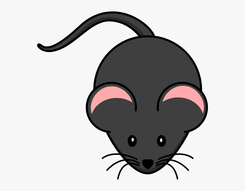 Rat Png - KibrisPDR