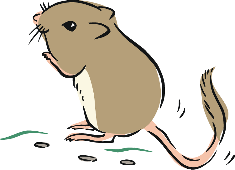 Detail Rat Png Nomer 22