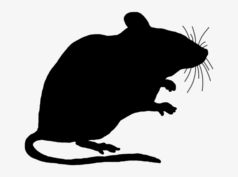 Detail Rat Png Nomer 4