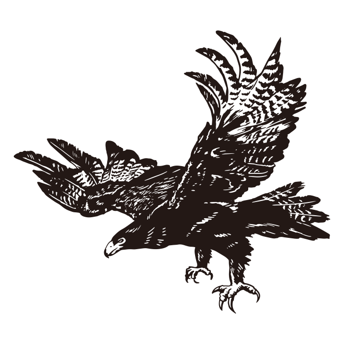 Detail Steinadler Bilder Nomer 3