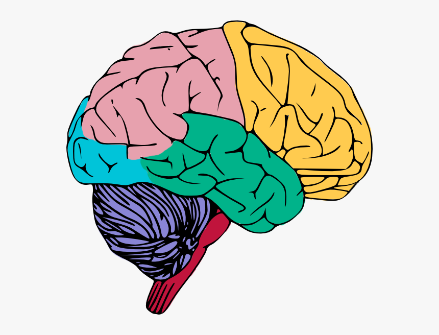 Detail Transparent Mind Nomer 6