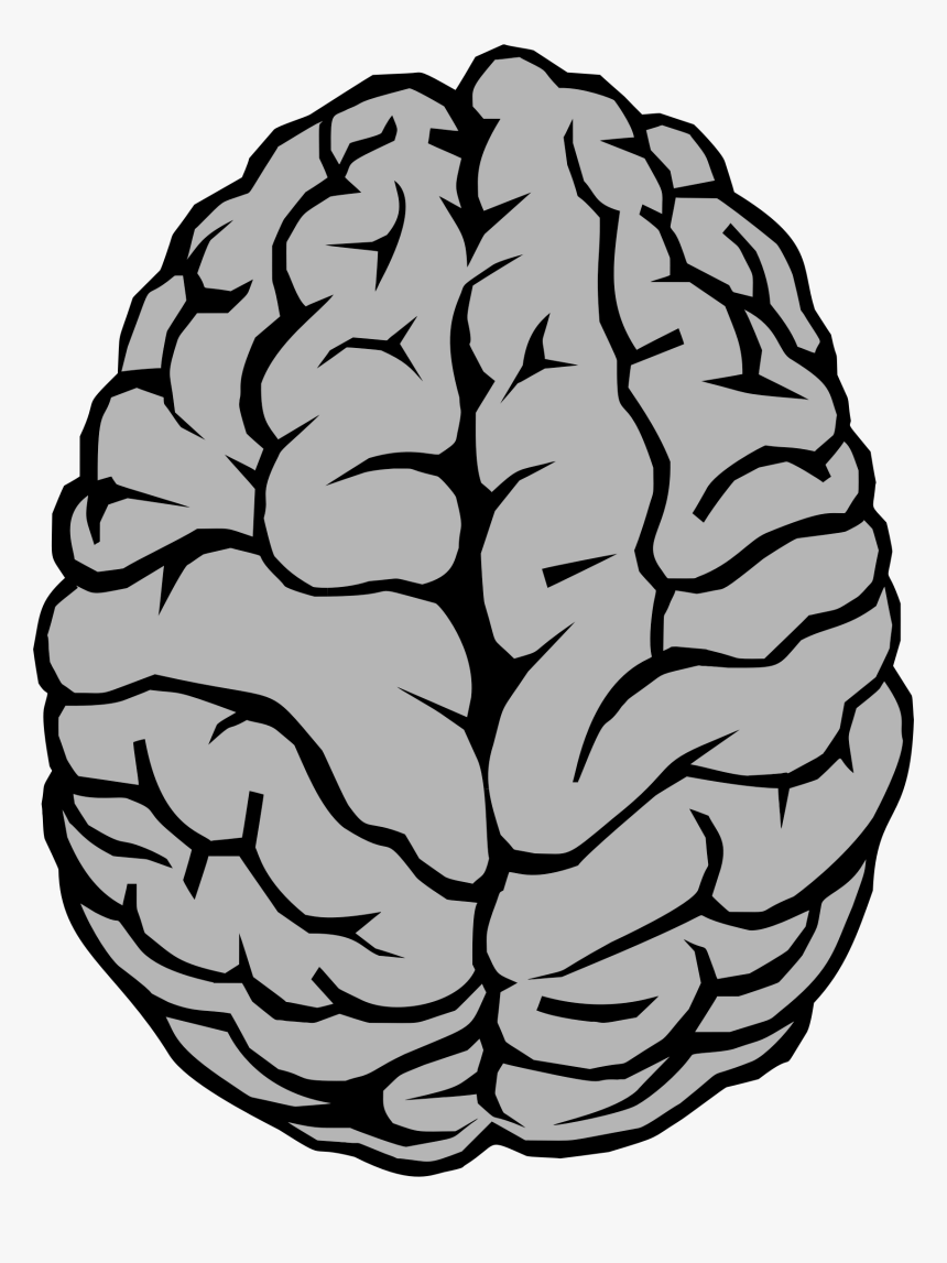 Detail Transparent Mind Nomer 8
