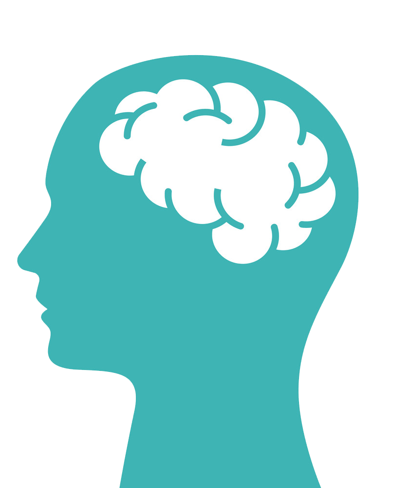 Detail Transparent Mind Nomer 12