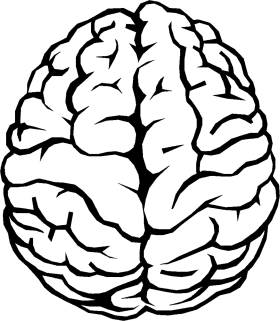 Detail Transparent Mind Nomer 15