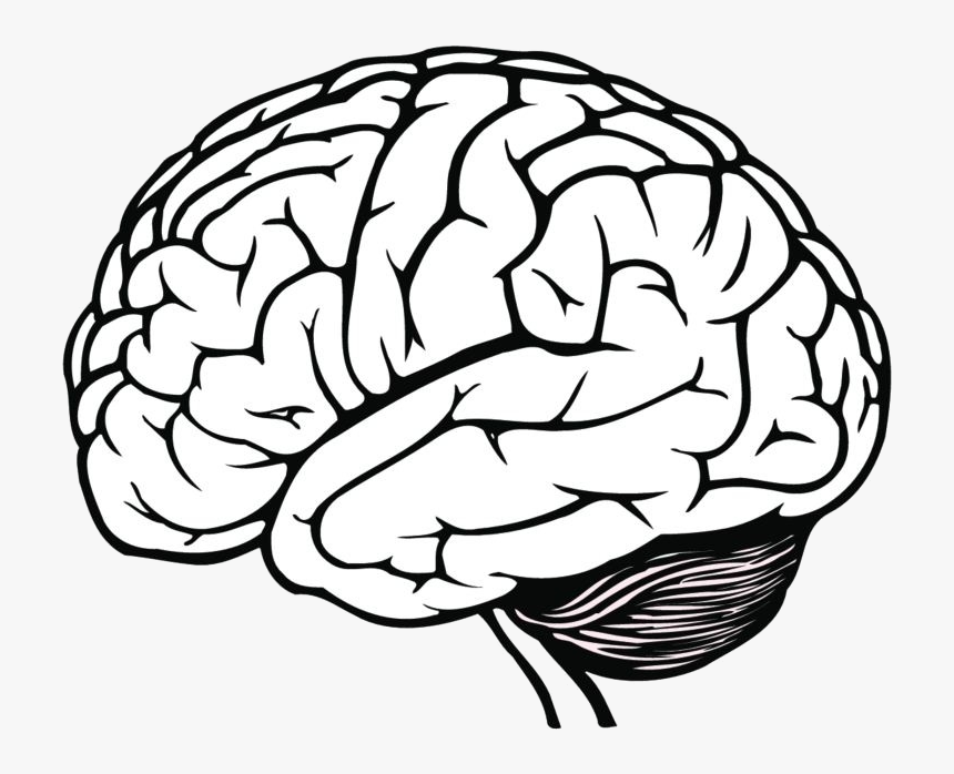 Detail Transparent Mind Nomer 16