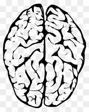 Detail Transparent Mind Nomer 17