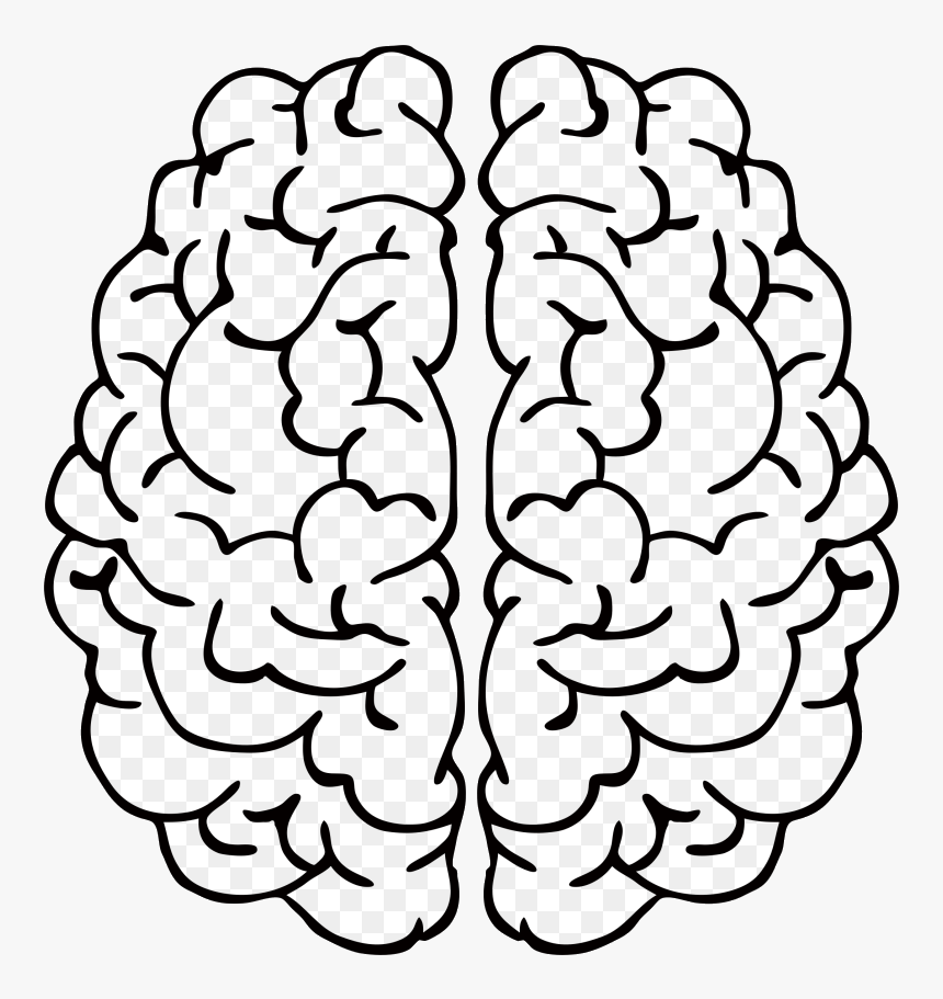Detail Transparent Mind Nomer 3