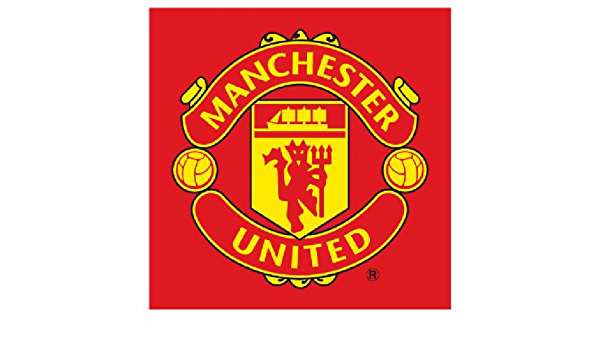 Detail Manchester United Logo Nomer 17