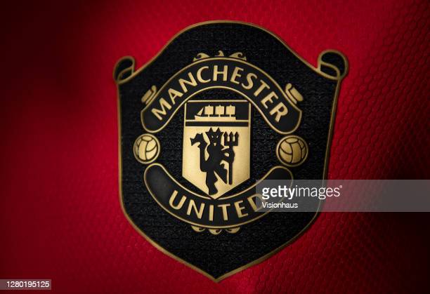 Detail Manchester United Logo Nomer 49