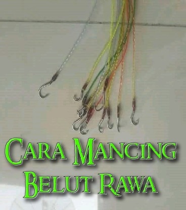 Detail Mancing Belut Liar Nomer 22