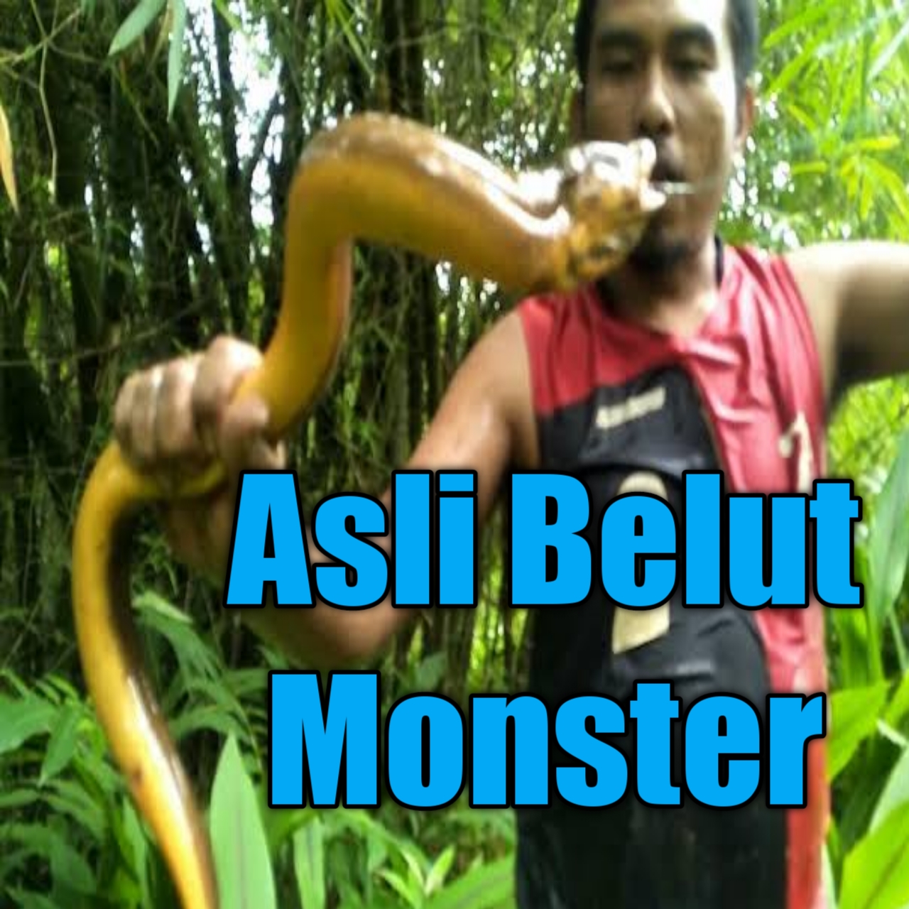 Detail Mancing Belut Liar Nomer 23