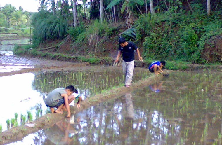 Detail Mancing Belut Liar Nomer 28