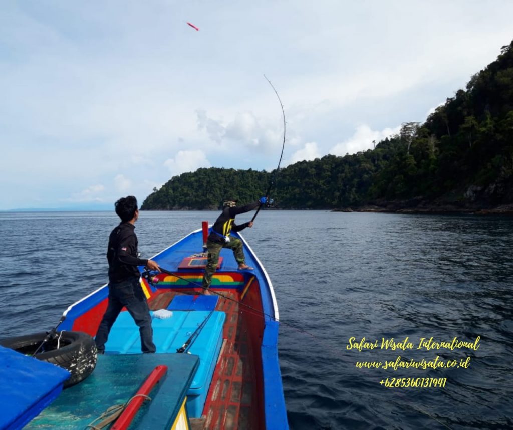 Detail Mancing Di Laut Lepas Nomer 40