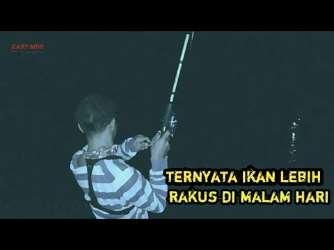 Detail Mancing Di Malam Hari Nomer 14