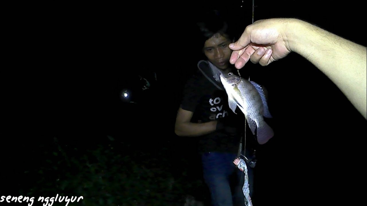 Detail Mancing Di Malam Hari Nomer 24