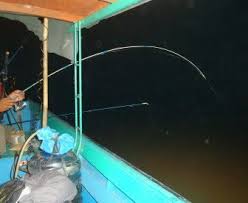 Detail Mancing Di Malam Hari Nomer 25