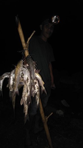 Detail Mancing Di Malam Hari Nomer 5