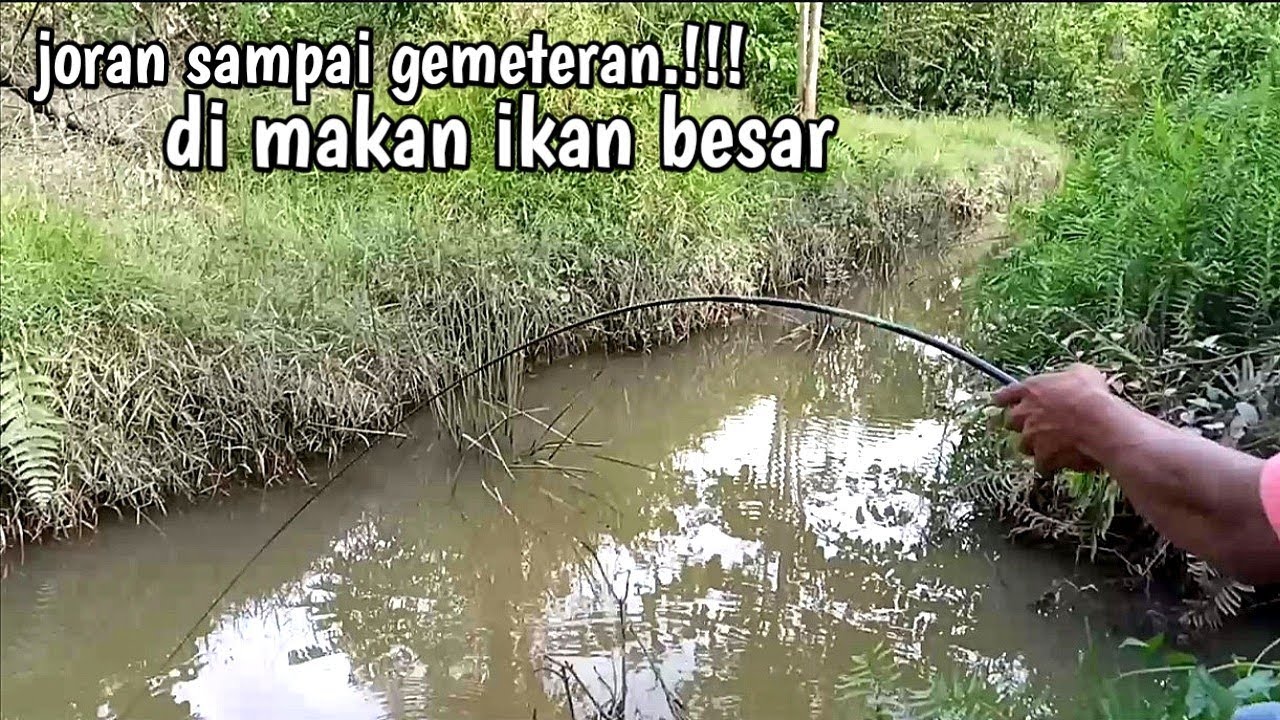 Detail Mancing Di Sungai Besar Nomer 25