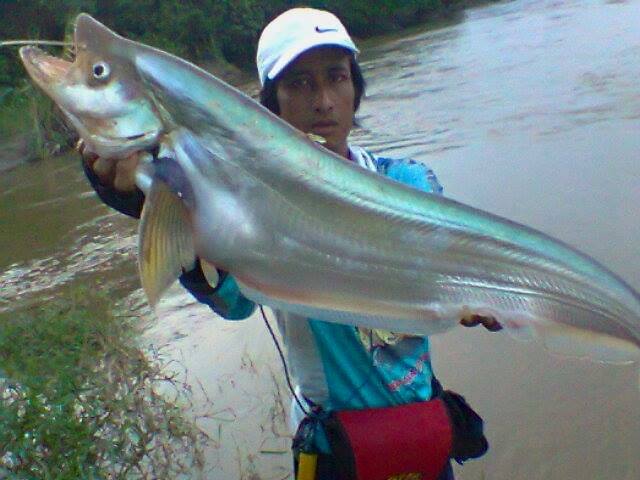 Detail Mancing Di Sungai Besar Nomer 56