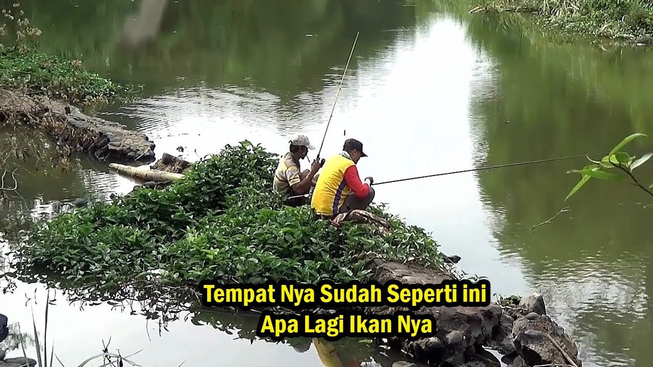 Detail Mancing Di Sungai Besar Nomer 8