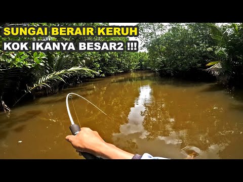 Detail Mancing Di Sungai Kecil Nomer 21