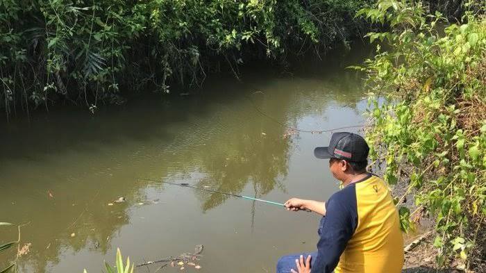 Detail Mancing Di Sungai Kecil Nomer 26