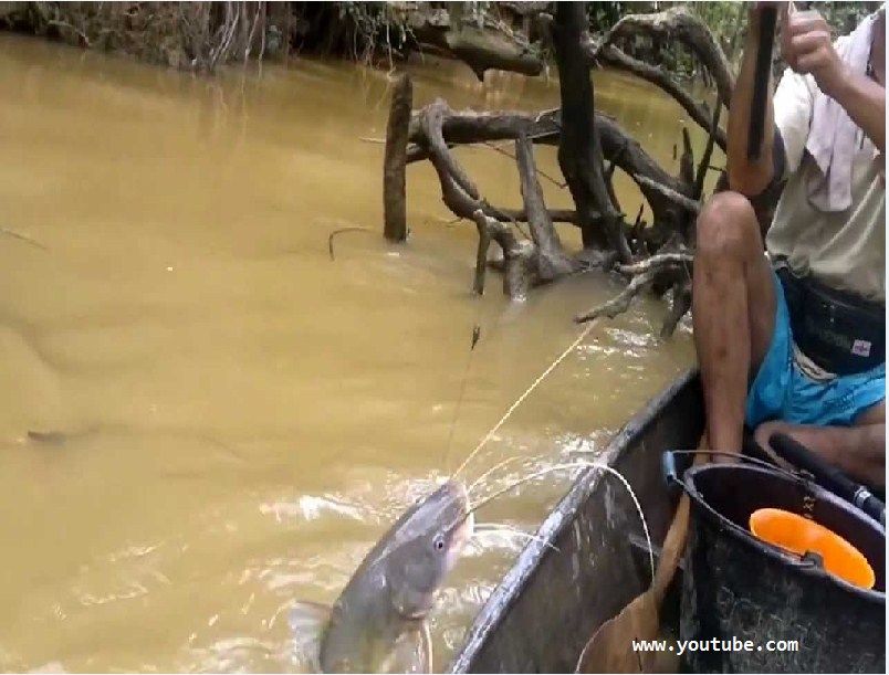 Detail Mancing Di Sungai Kecil Nomer 41