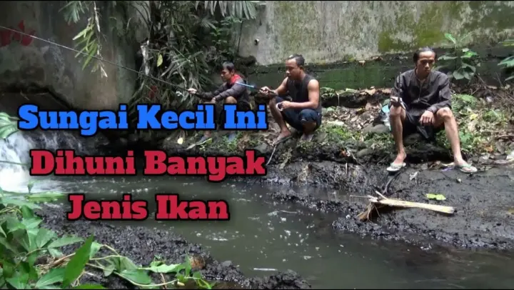 Detail Mancing Di Sungai Kecil Nomer 45