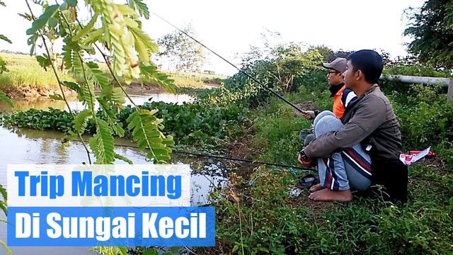 Detail Mancing Di Sungai Kecil Nomer 52