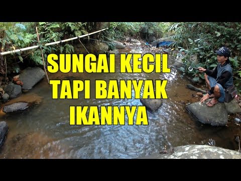 Detail Mancing Di Sungai Kecil Nomer 9