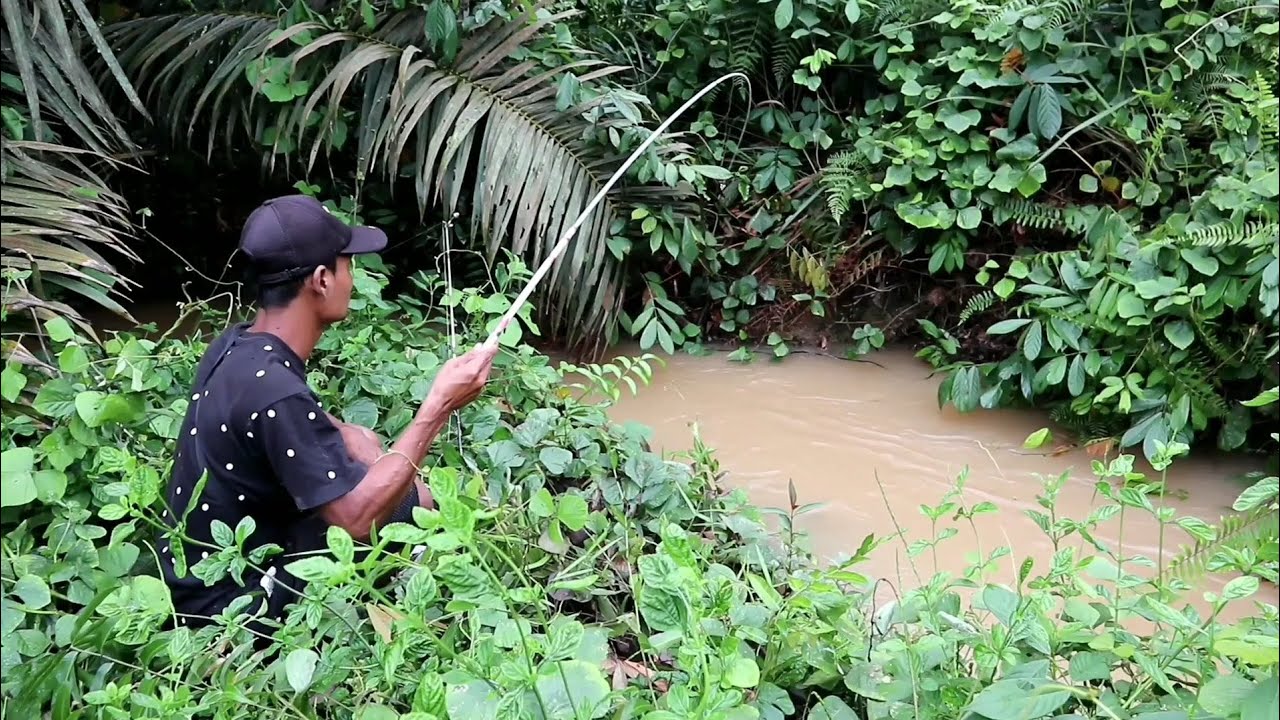 Detail Mancing Di Sungai Kecil Nomer 10