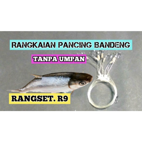 Detail Mancing Ikan Bandeng Nomer 11