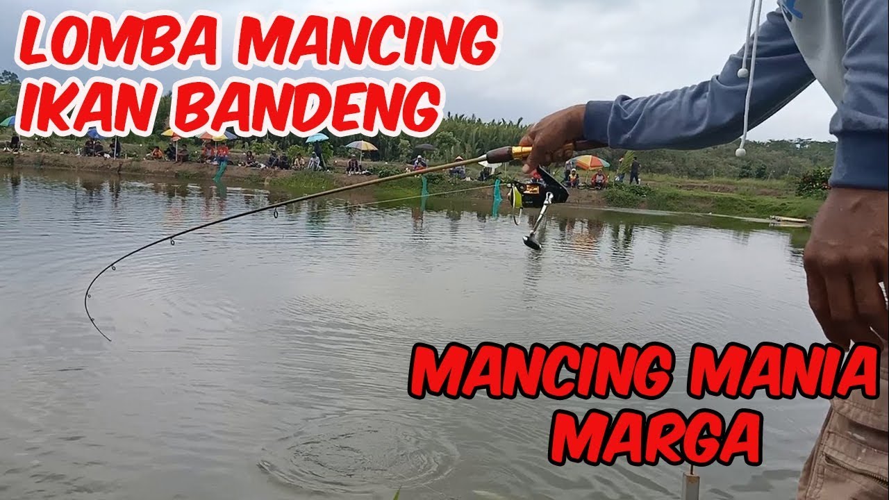 Detail Mancing Ikan Bandeng Nomer 13