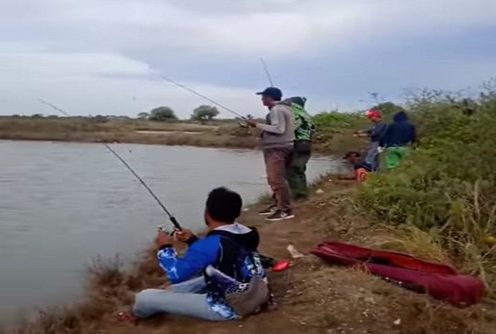Detail Mancing Ikan Bandeng Nomer 2