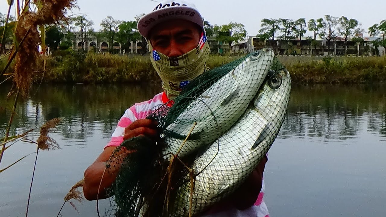 Detail Mancing Ikan Bandeng Nomer 18