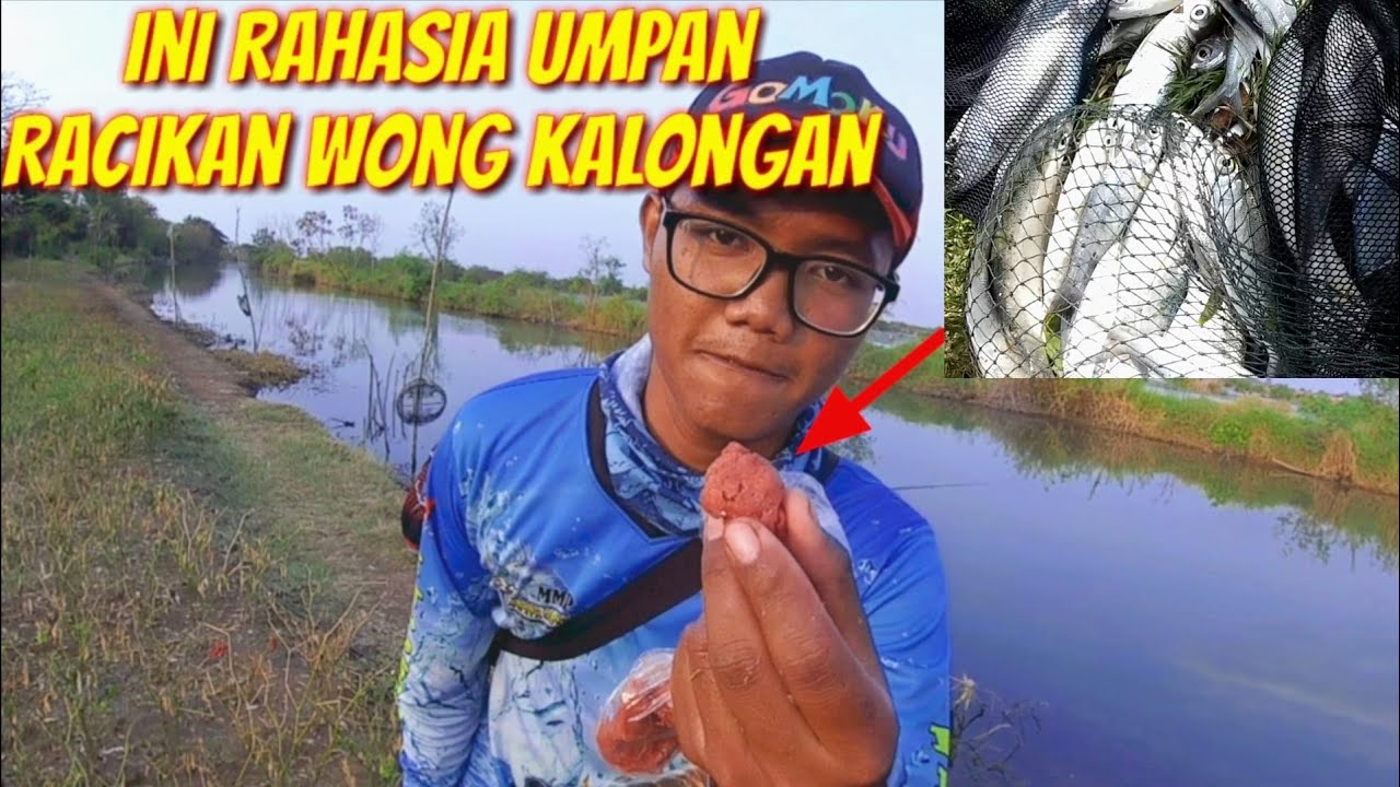 Detail Mancing Ikan Bandeng Nomer 29