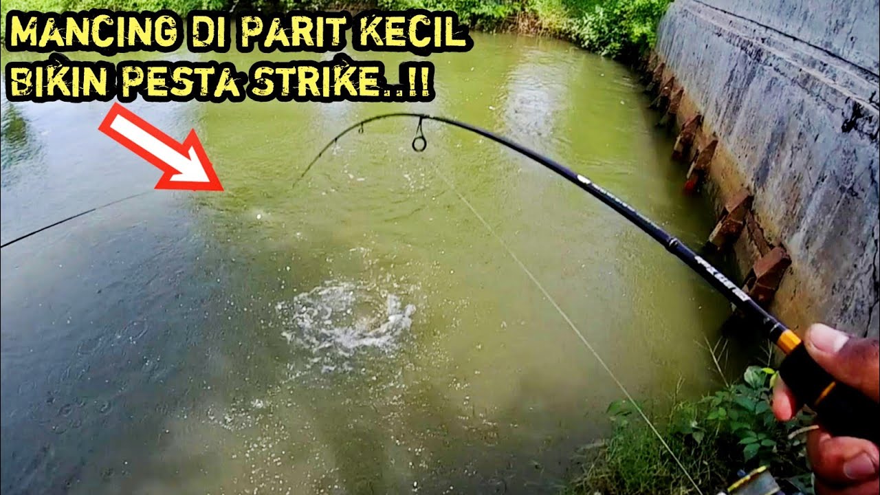 Detail Mancing Ikan Bandeng Nomer 30