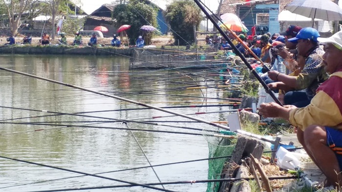 Detail Mancing Ikan Bandeng Nomer 35
