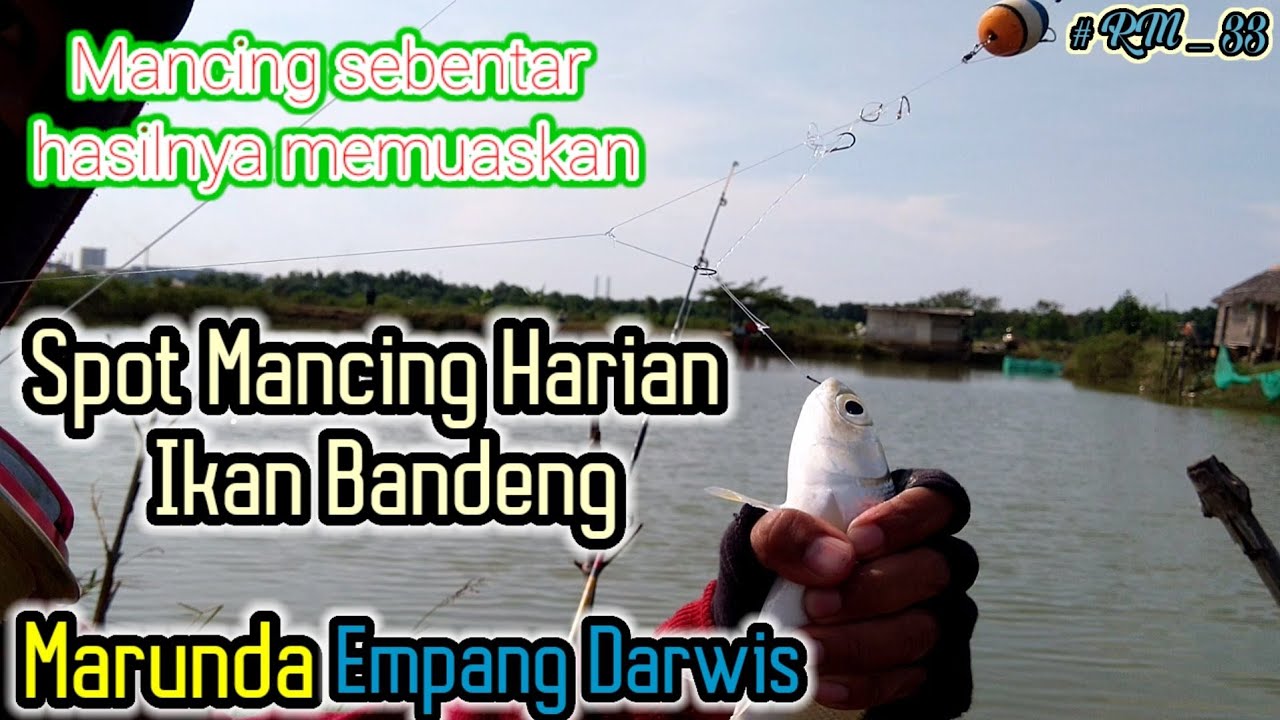 Detail Mancing Ikan Bandeng Nomer 41