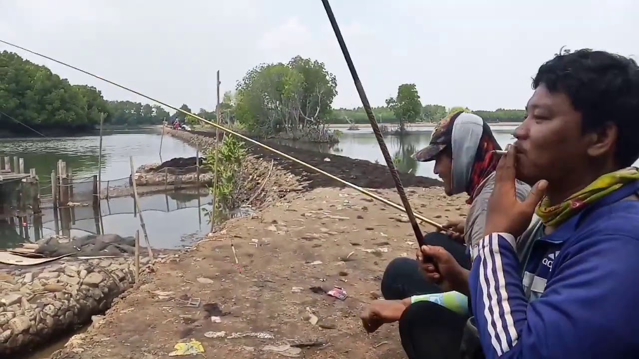 Detail Mancing Ikan Bandeng Nomer 47