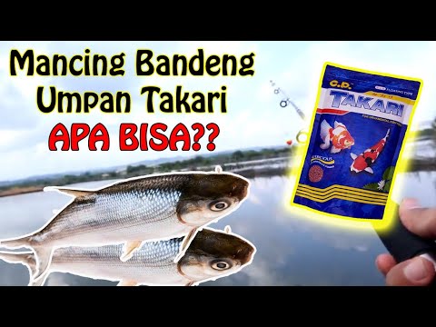 Detail Mancing Ikan Bandeng Nomer 48